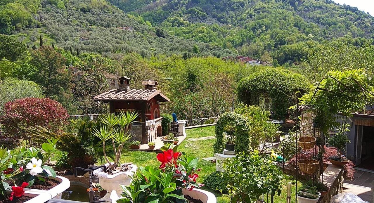 Jasmine Bed & Breakfast Luni