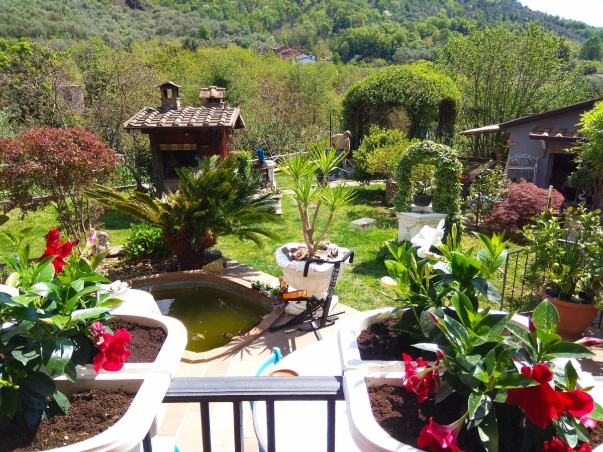 Bed & Breakfast Jasmine Luni