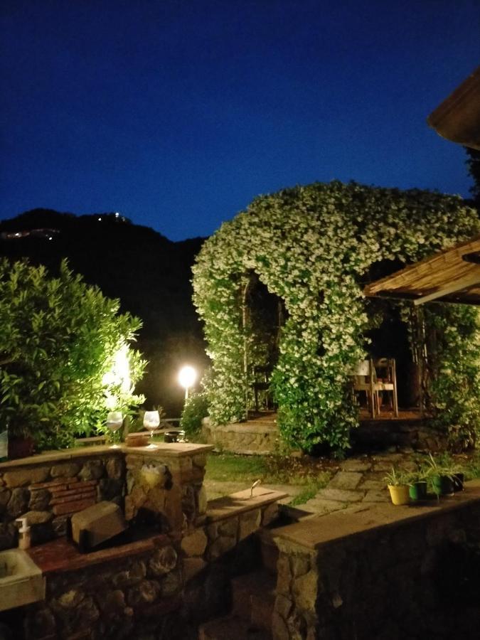 Bed & Breakfast Jasmine *
