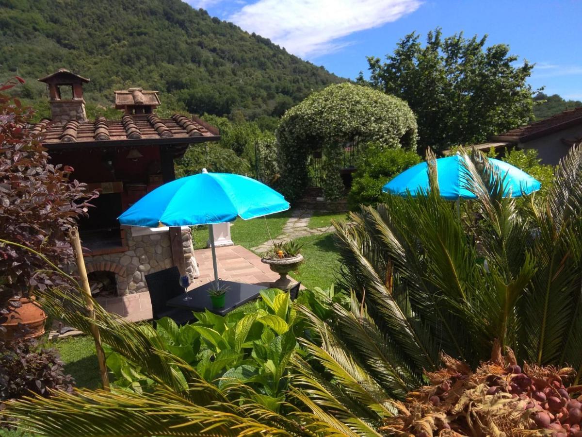 Bed & Breakfast Jasmine Luni