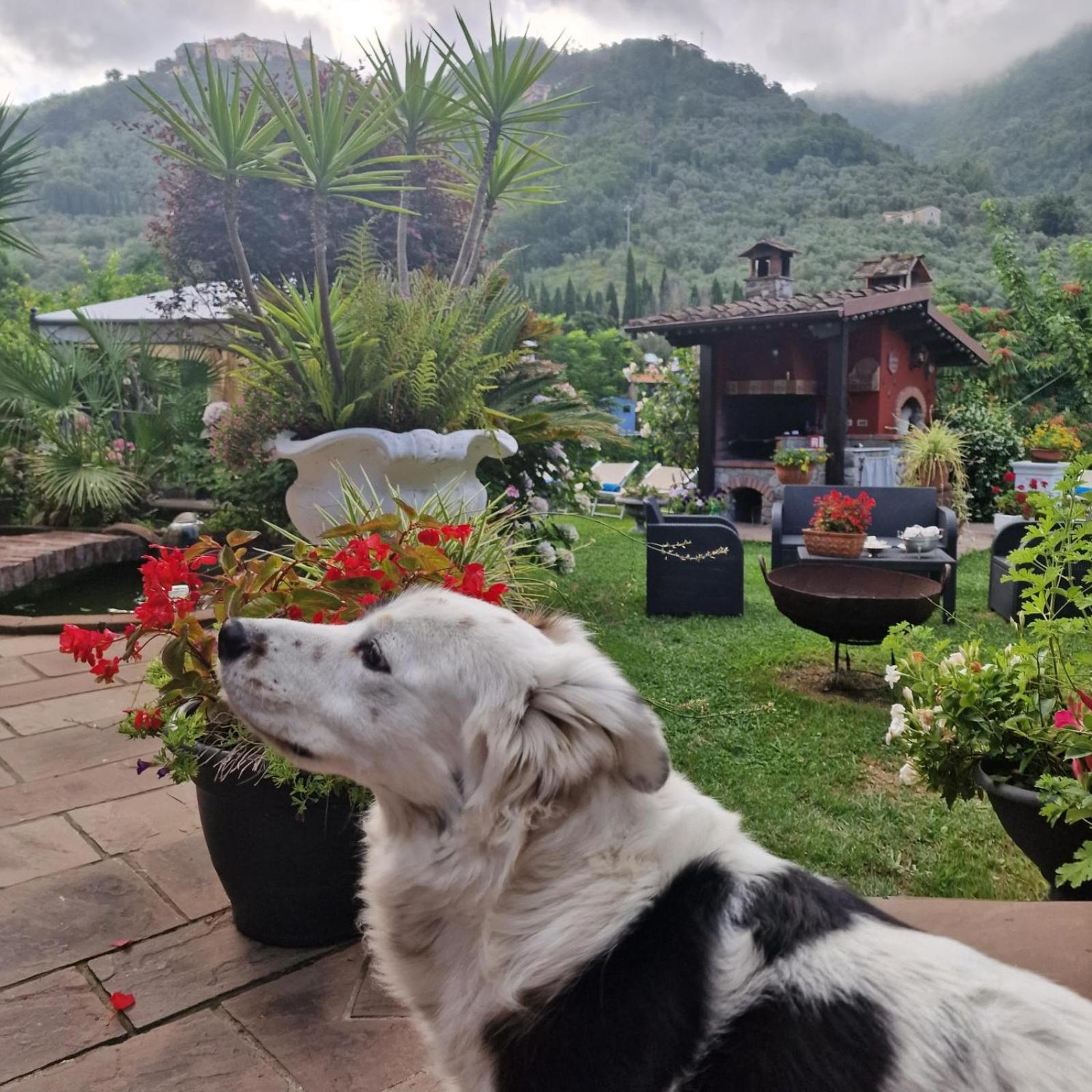 Jasmine Bed & Breakfast
