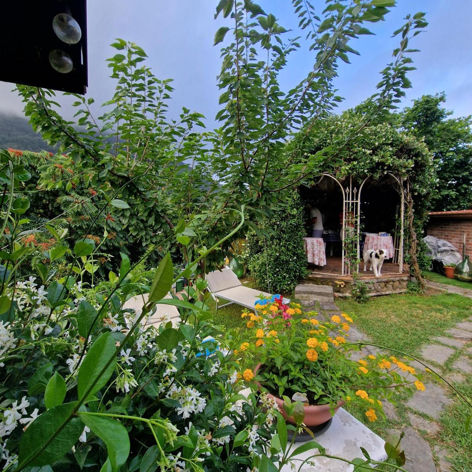 Bed & Breakfast Jasmine