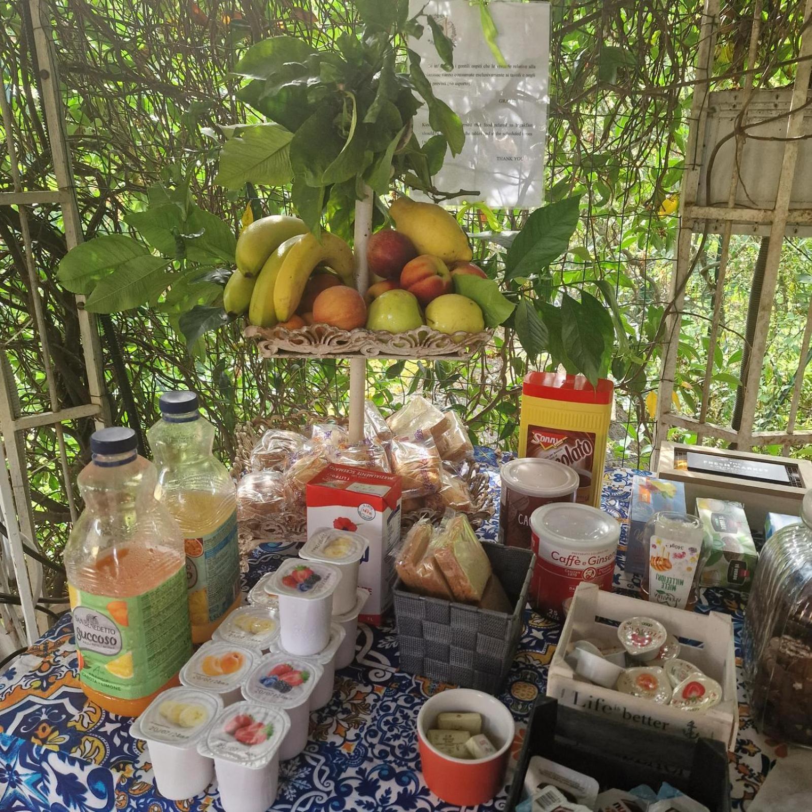 Jasmine Bed & Breakfast Luni