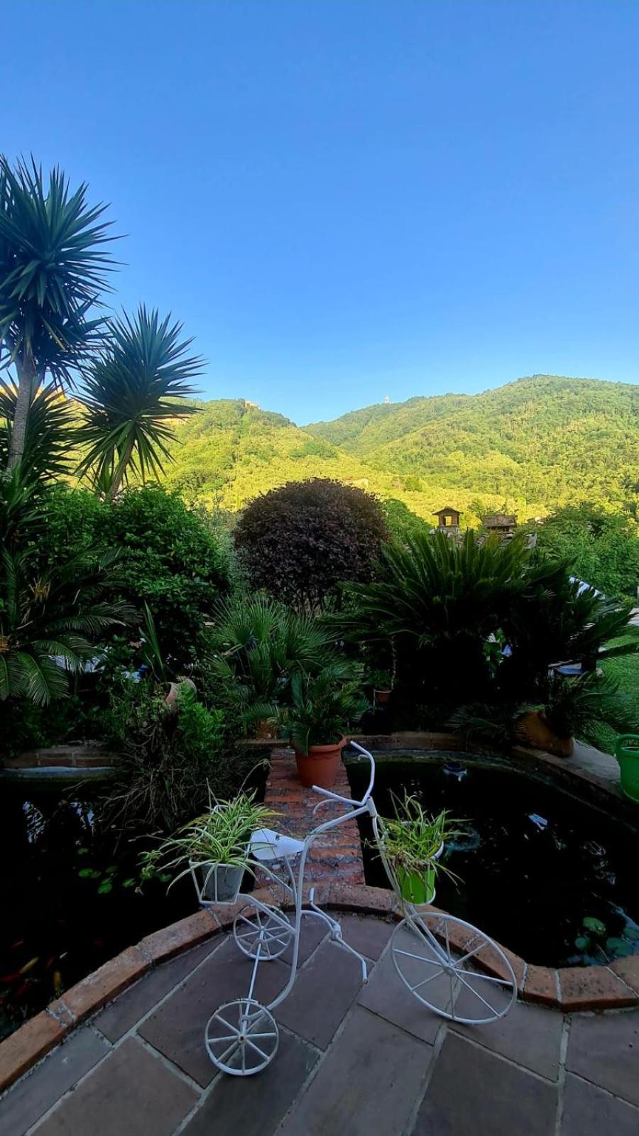 Bed & Breakfast Jasmine